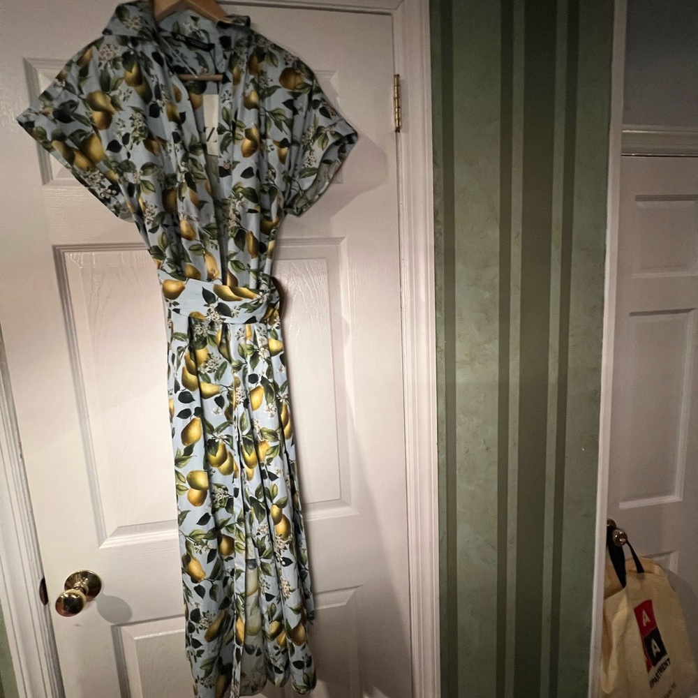 Zara Light Blue Maxi Dress with pear Print (Brand new)
